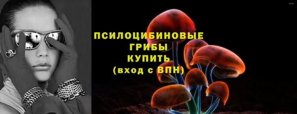 ECSTASY Алзамай