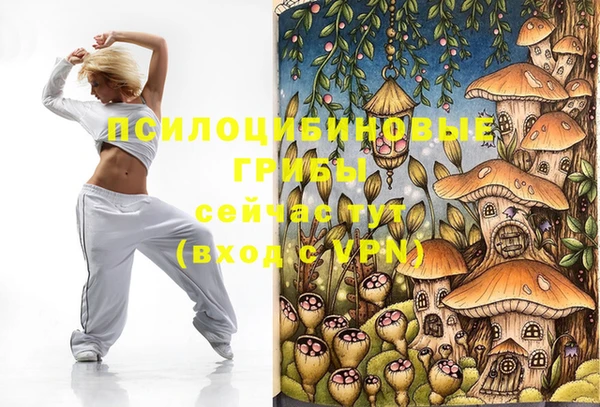 ECSTASY Алзамай