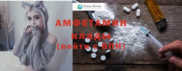 ECSTASY Алзамай